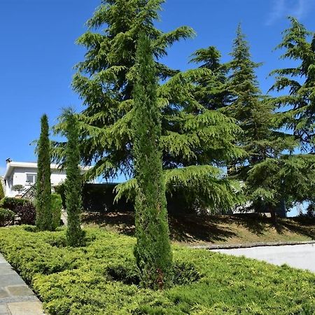Villa Casa Chrissy Plagiárion Buitenkant foto