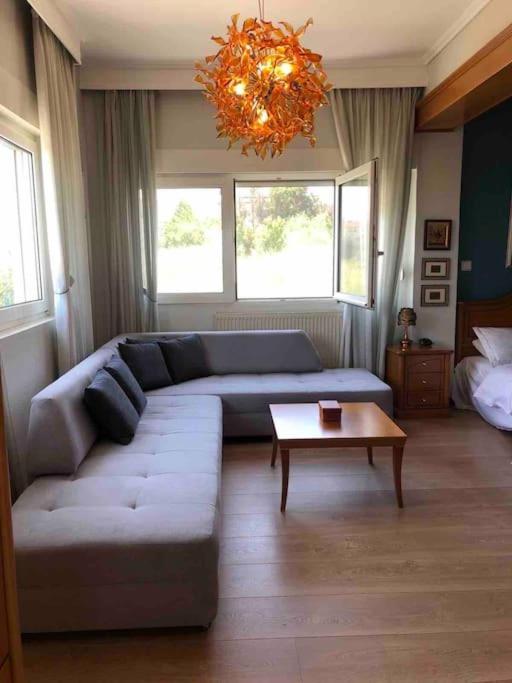 Villa Casa Chrissy Plagiárion Buitenkant foto