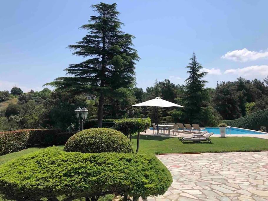 Villa Casa Chrissy Plagiárion Buitenkant foto